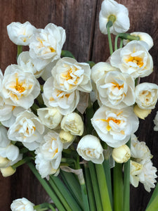 Narcissus Bridal Crown