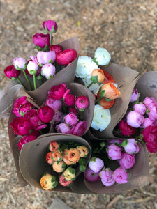 2024 Spring Bouquet Subscription Mid April to Mid May