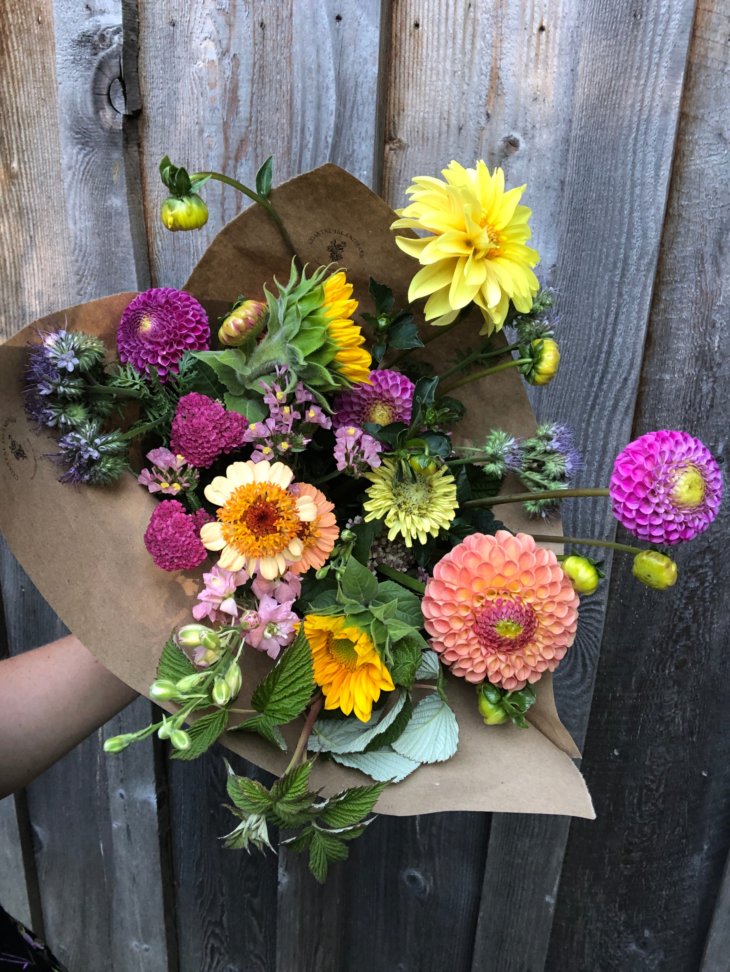 Farm Box