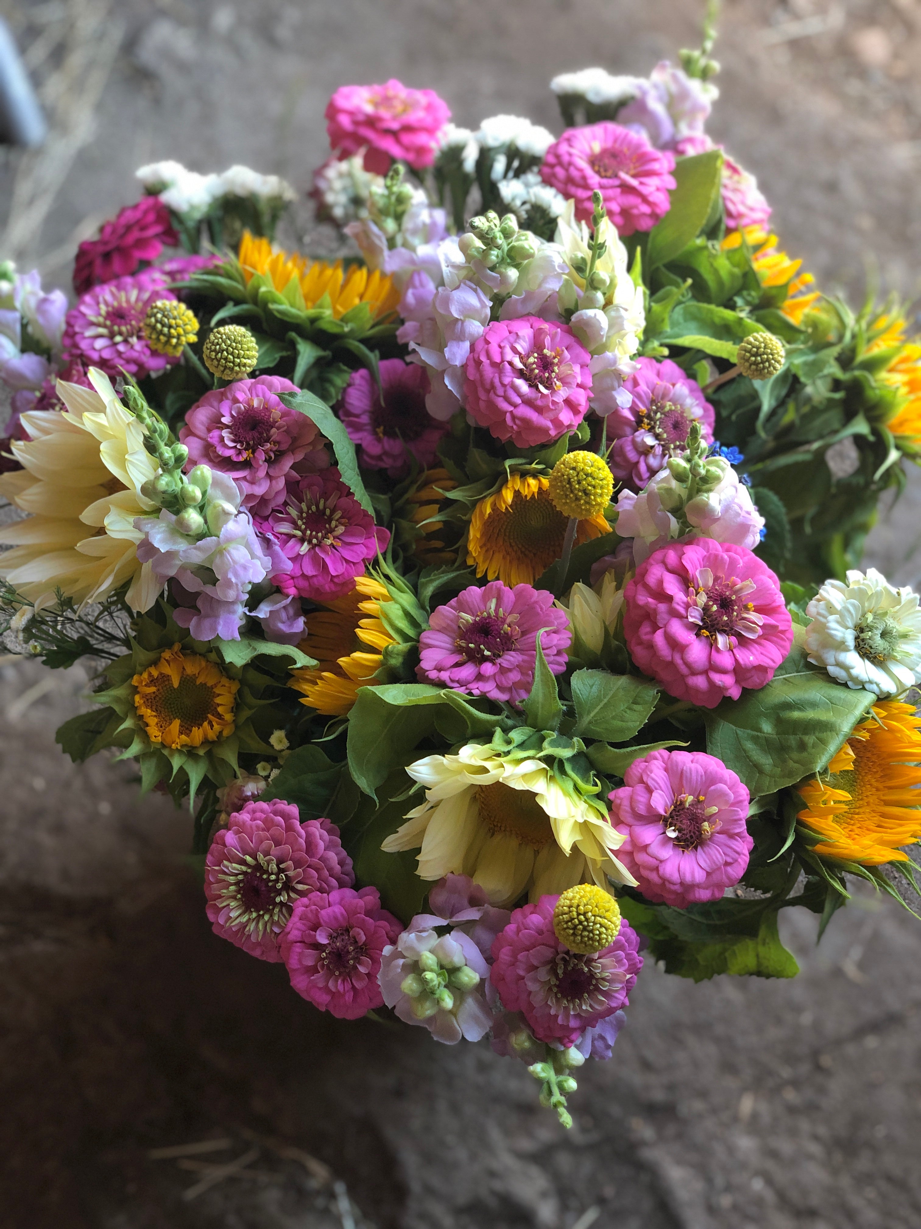 2025 Flower Club: Summer Subscription